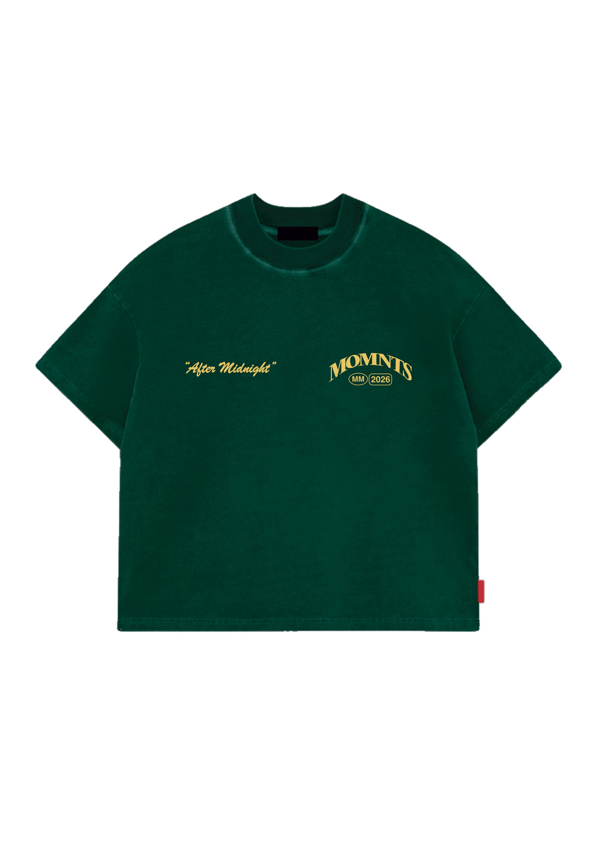 The Unforgettable Girl