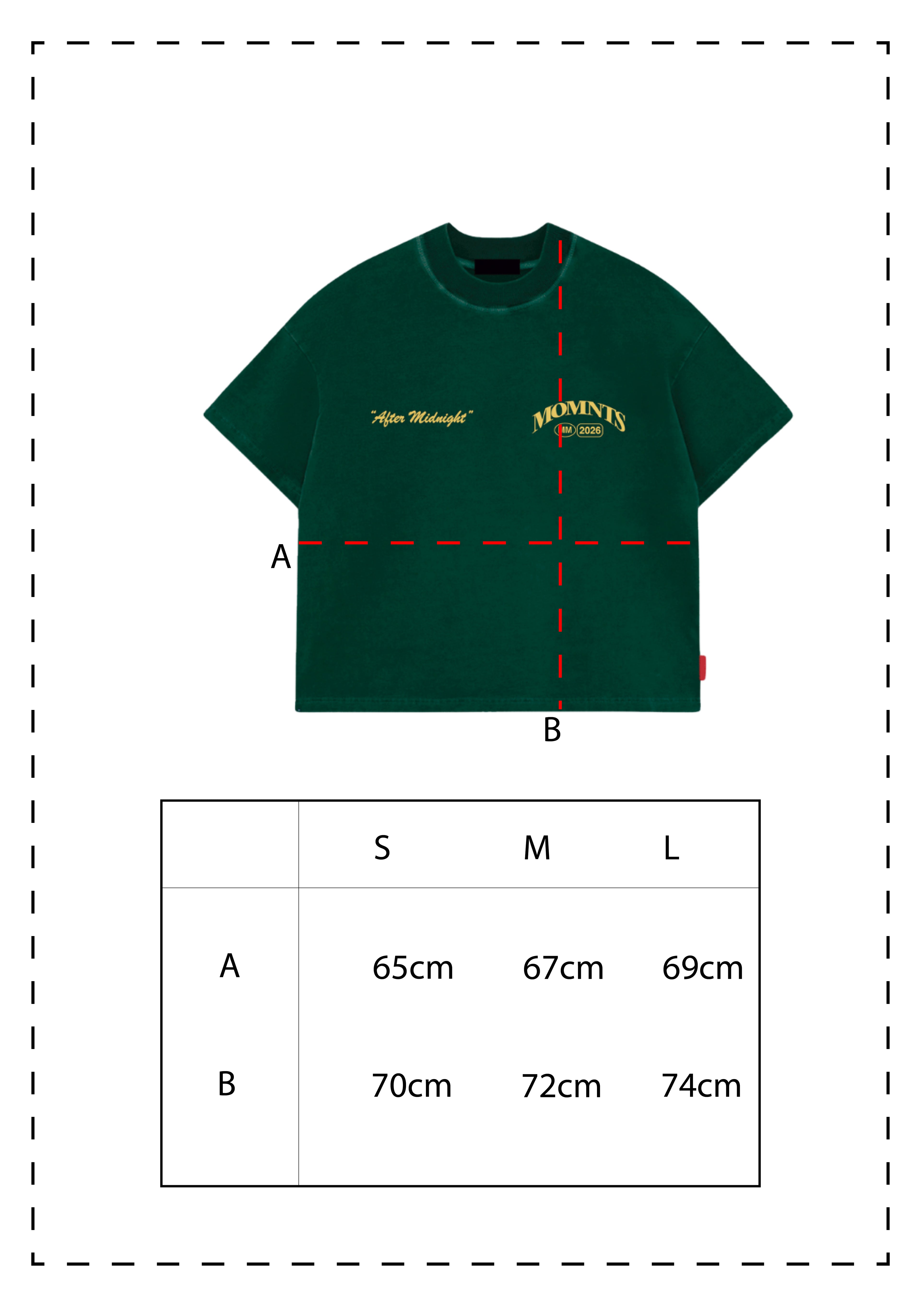 The Unforgettable Girl