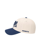 Creative Blue Cap